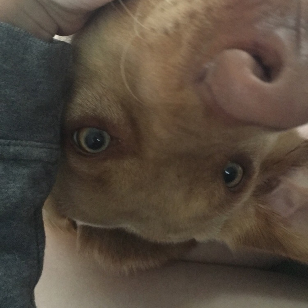 Meet your Posher, Kaylee